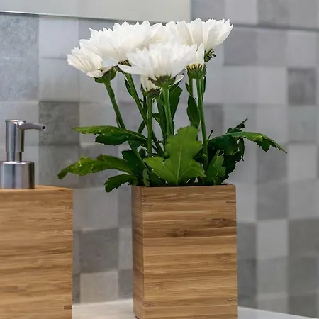 Appartement Silver -